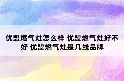 优盟燃气灶怎么样 优盟燃气灶好不好 优盟燃气灶是几线品牌